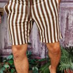 Pantalones cortos de hombre, corte ajustado, blancos con rayas marrones - PSC57