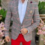 Grey Men's Blazer, Slim Fit, Red Striped / Checked – SC580
