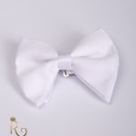 Papion de bărbați, alb, tip fluture- PP271