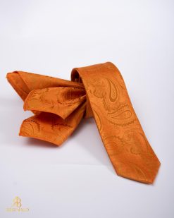 Set Cravata si batista cu model- CV1095