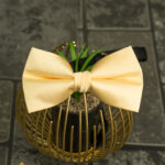 Men's golden-yellow shirt bow tie - PP291